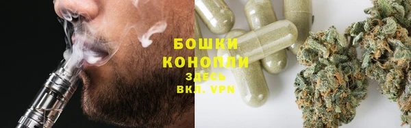 шишки Армянск