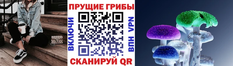 Псилоцибиновые грибы Psilocybine cubensis  ссылка на мегу ТОР  Нижнеудинск 
