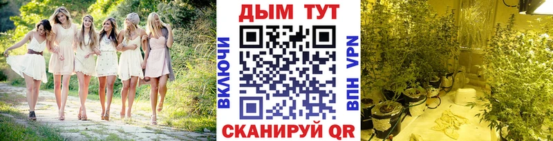 Бошки марихуана MAZAR Нижнеудинск